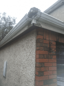 Gutter Replacement in Dublin