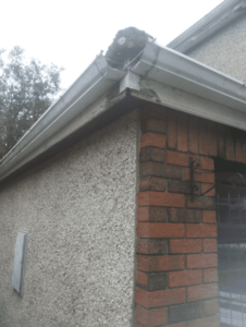 southdublinroofing.ie Guttering Needed Replacement in Dublin Guttering Replacement in Dublin southdublinroofing.ie